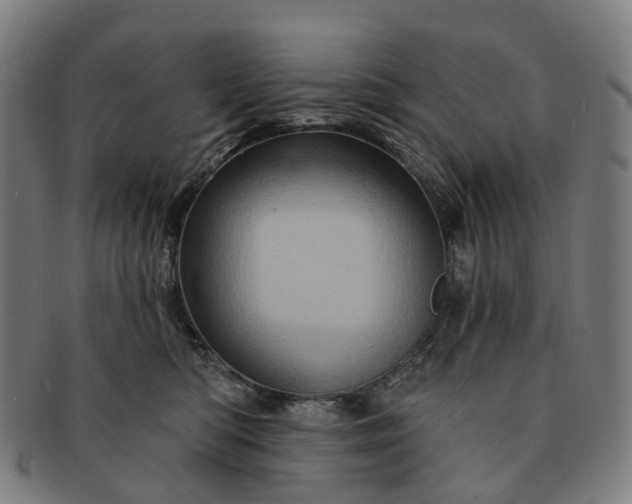 X0000091310422200708241118