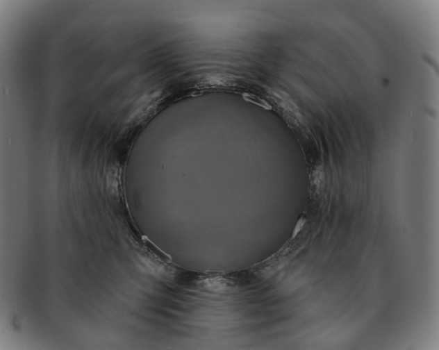 X0000091310423200708241118