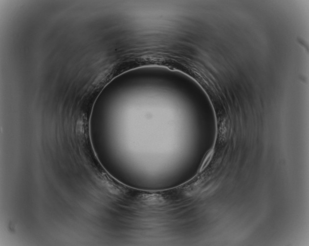 X0000091310424200708241118