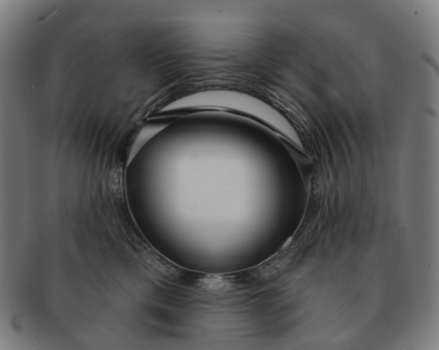 X0000091310425200708241118