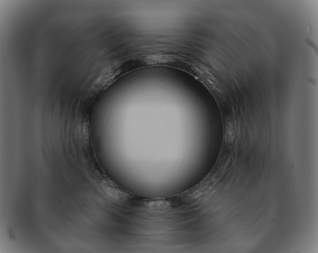 X0000091310426200708241118