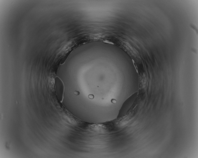 X0000091310427200708241118