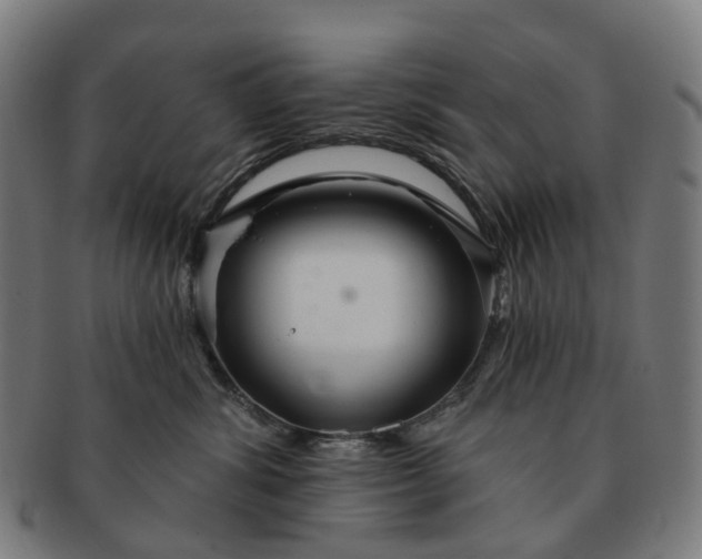 X0000091310428200708241118