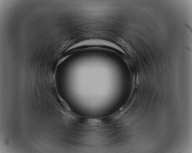 X0000091310429200708241118