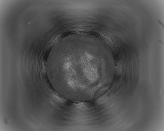 X0000091310430200708241117