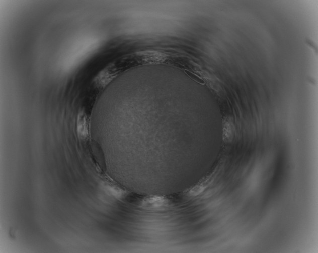 X0000091310431200708241117