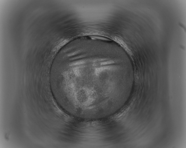 X0000091310433200708241117