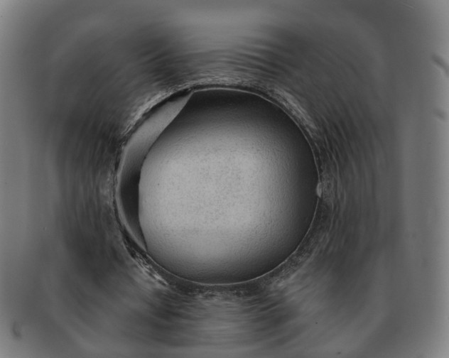 X0000091310434200708241117