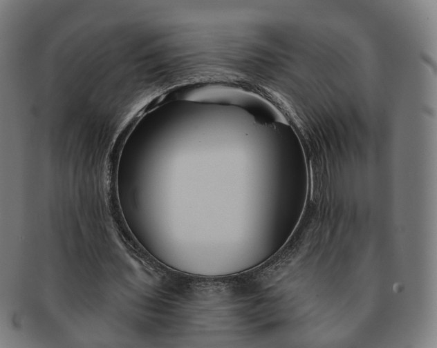 X0000091310435200708241117