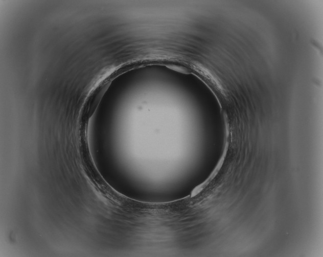 X0000091310436200708241117