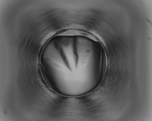 X0000091310437200708241117