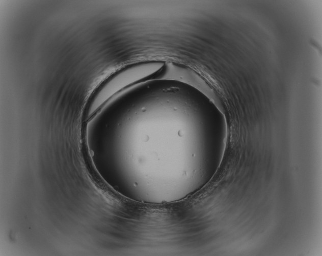 X0000091310438200708241117