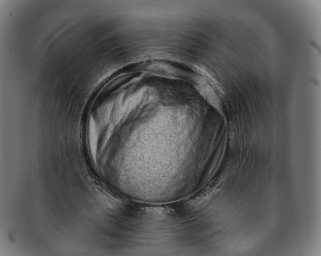 X0000091310439200708241117