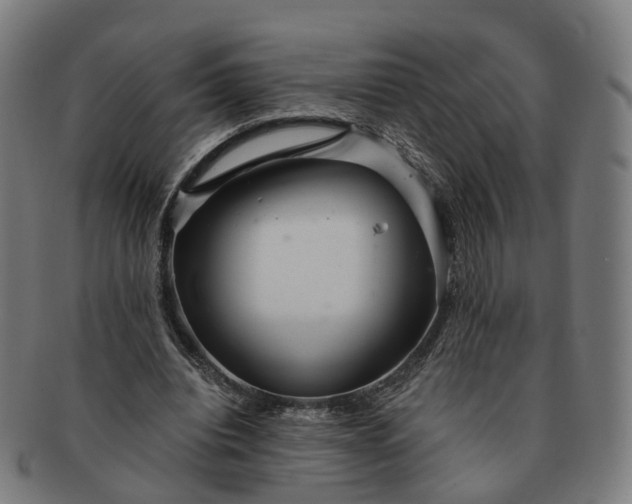 X0000091310440200708241117