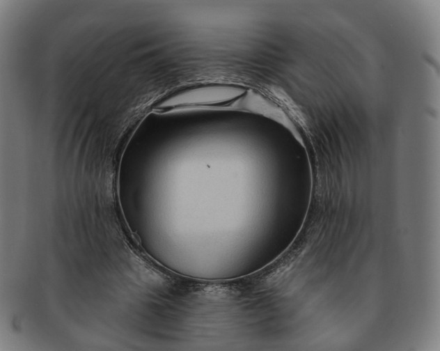 X0000091310441200708241117