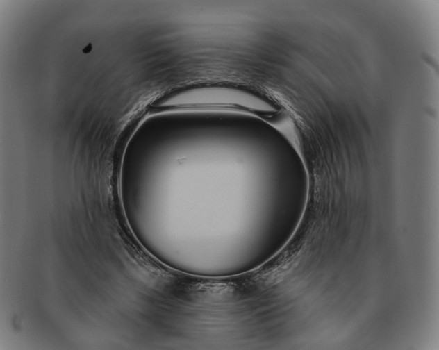 X0000091310443200708241117