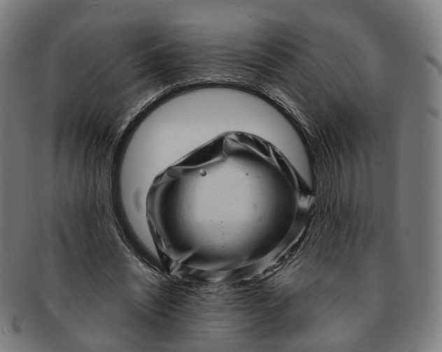 X0000091310444200708241117