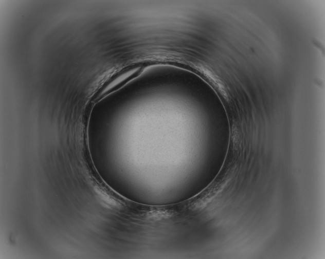 X0000091310445200708241117