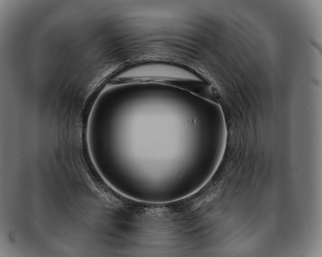 X0000091310446200708241117