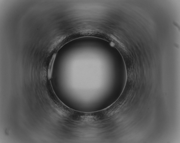 X0000091310448200708241117