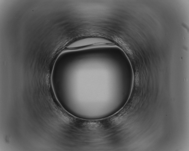 X0000091310449200708241117