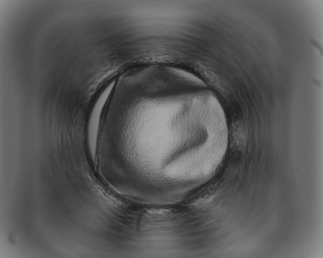 X0000091310450200708241117