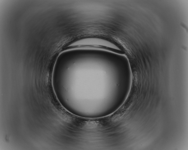 X0000091310451200708241117