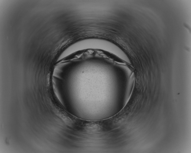 X0000091310454200708241117