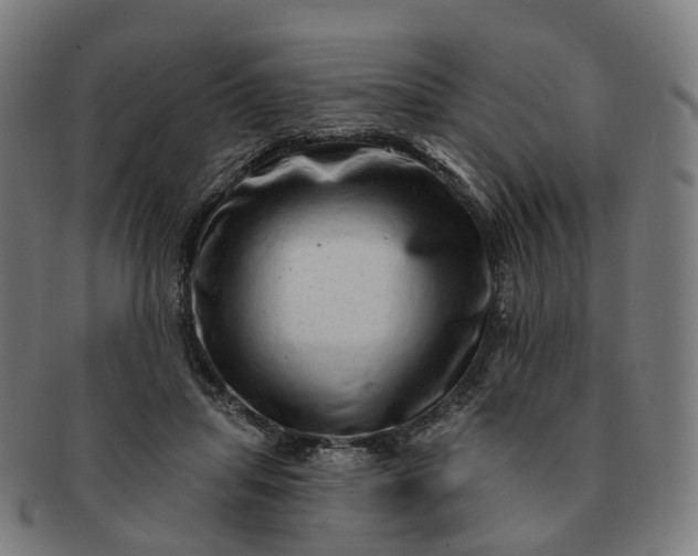 X0000091310455200708241117