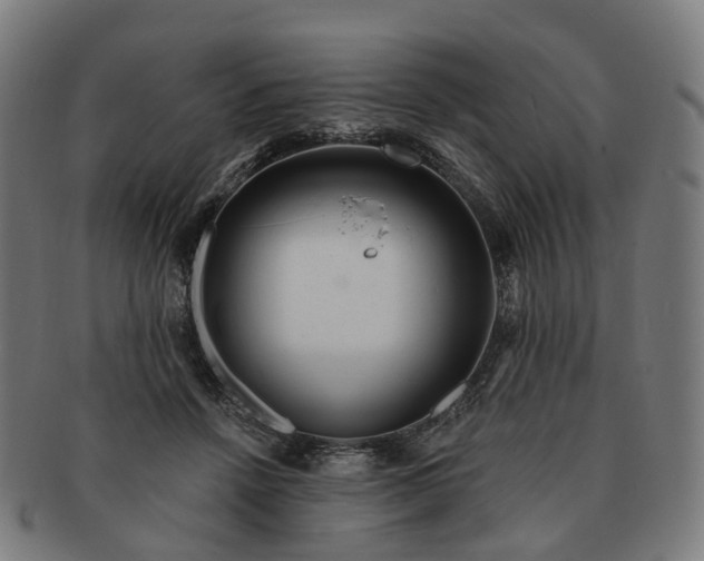 X0000091310456200708241117