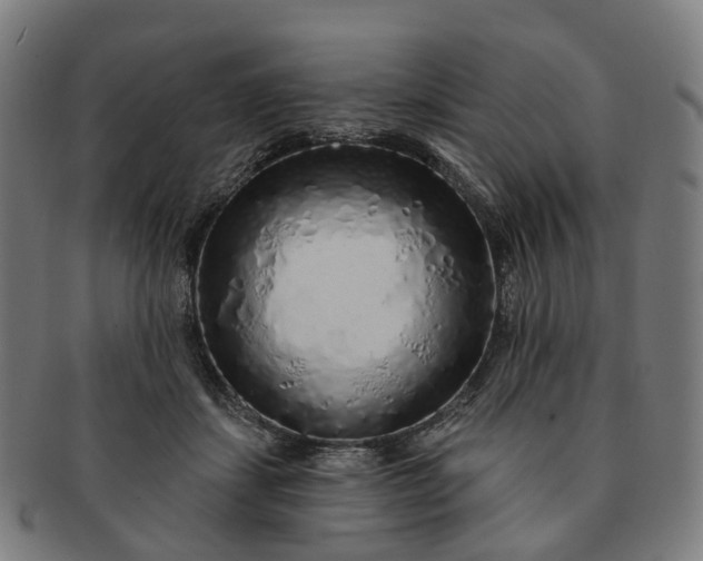 X0000091310459200708241117