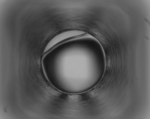 X0000091310461200708241117