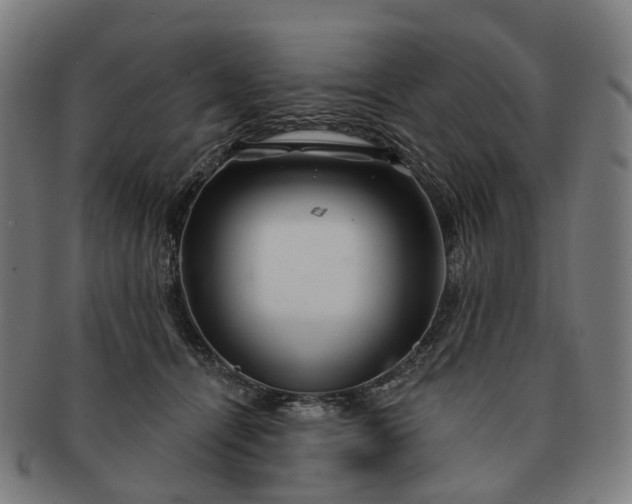 X0000091310464200708241117