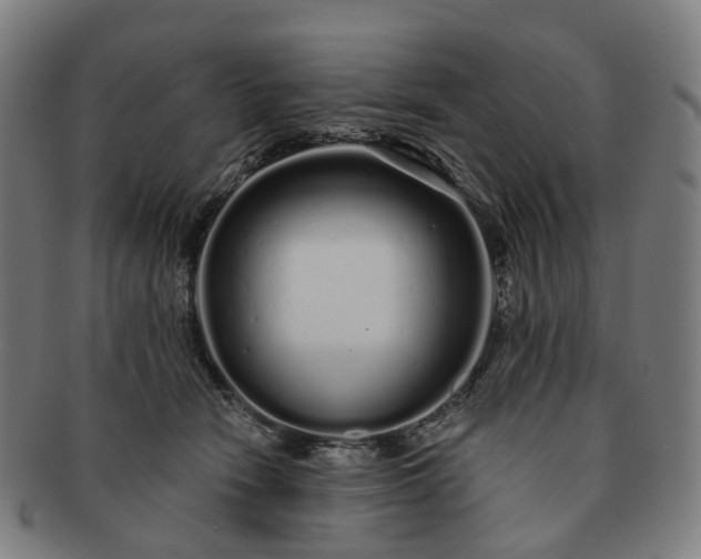 X0000091310466200708241117