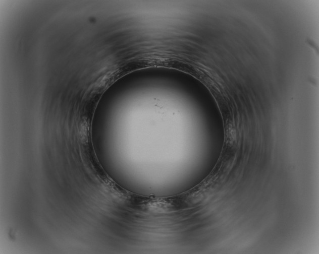 X0000091310468200708241117