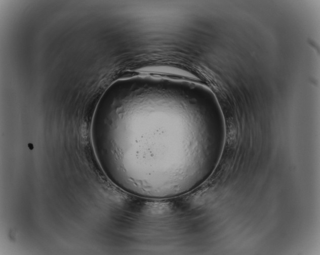 X0000091310469200708241117