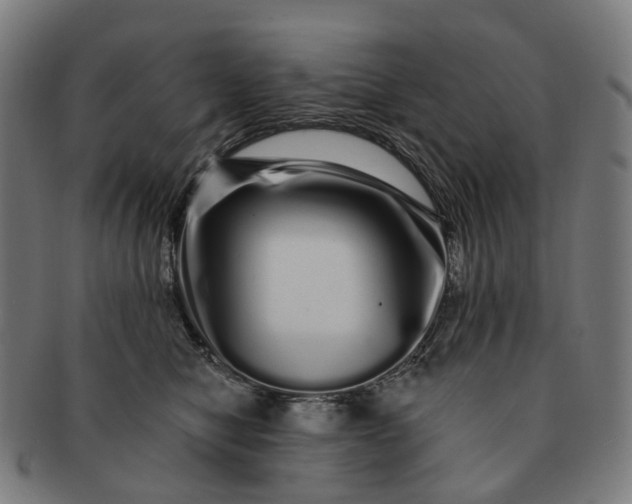 X0000091310470200708241117