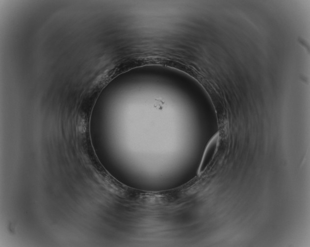 X0000091310472200708241117