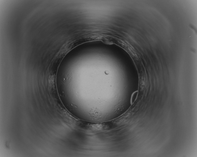 X0000091310473200708241117