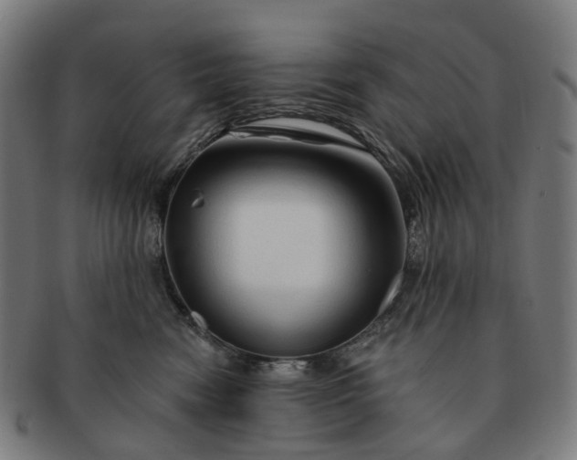 X0000091310474200708241117