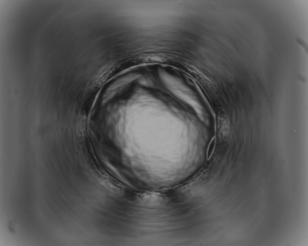 X0000091310475200708241117