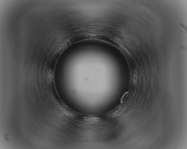 X0000091310476200708241117