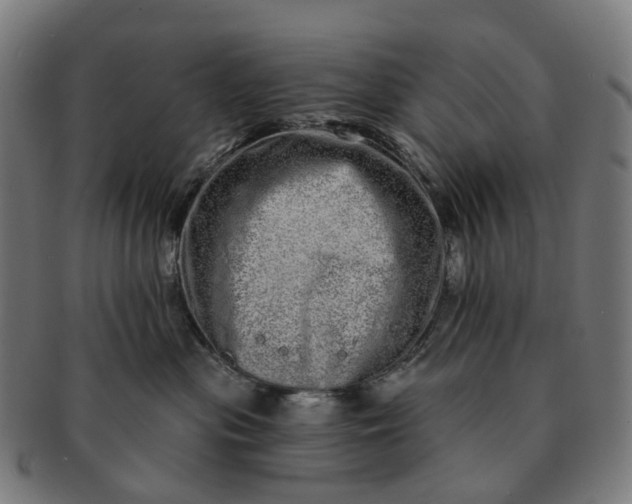 X0000091310477200708241117