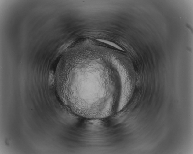 X0000091310478200708241117