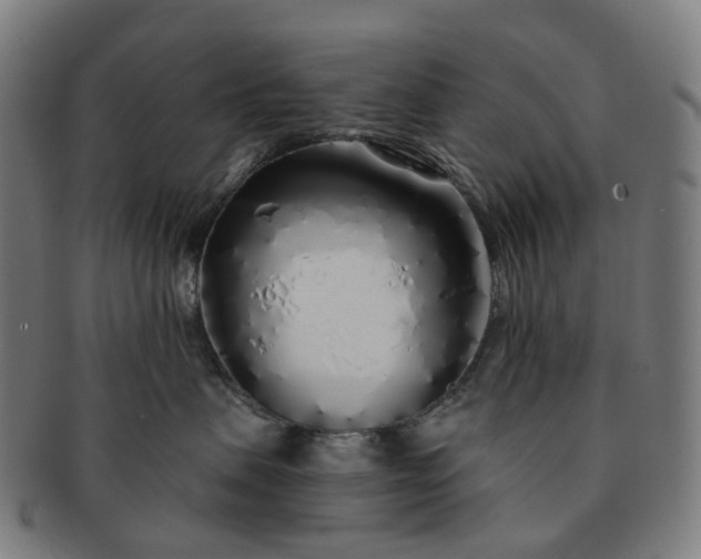 X0000091310479200708241117