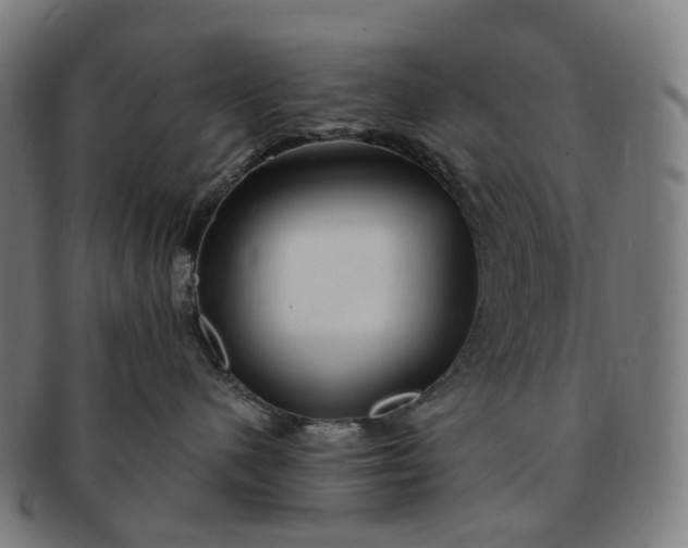 X0000091310480200708241117