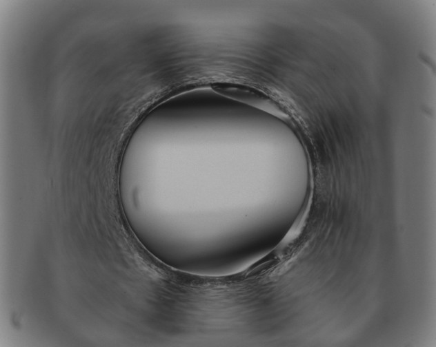 X0000091310481200708241117