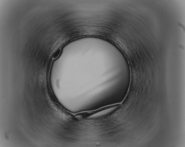 X0000091310482200708241117