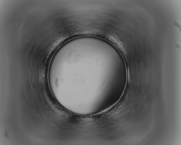 X0000091310483200708241117