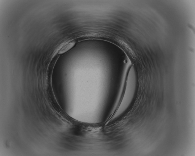 X0000091310484200708241117